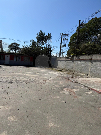 Foto REO1101936