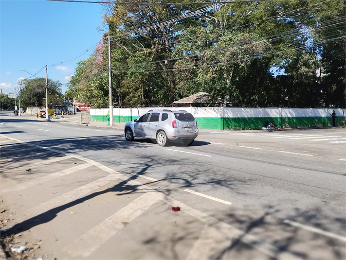 Foto REO1101936