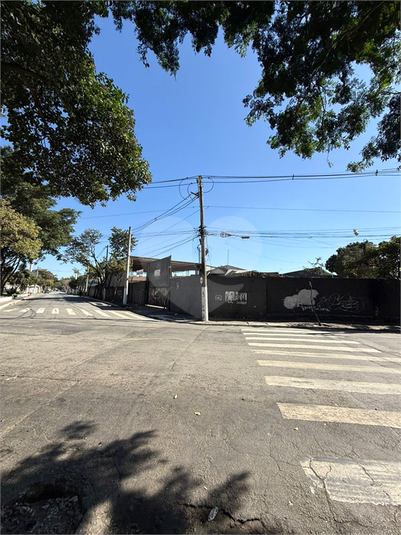 Foto REO1101936