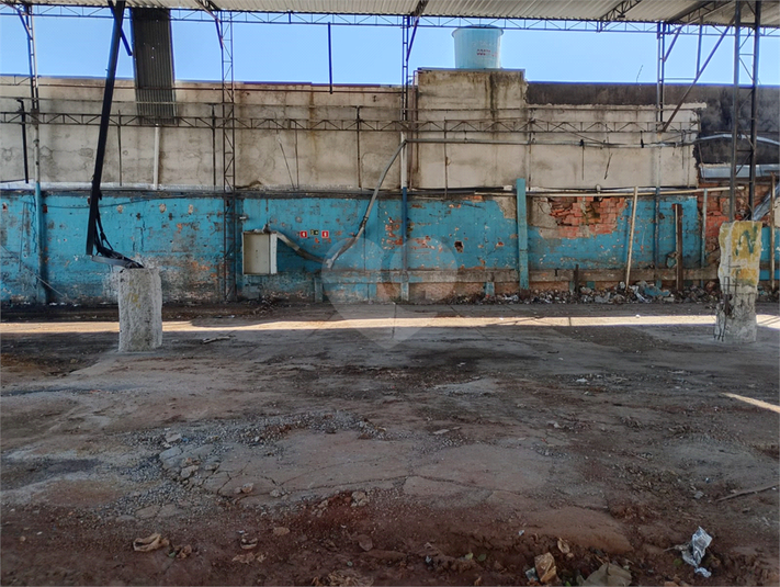 Foto REO1101936