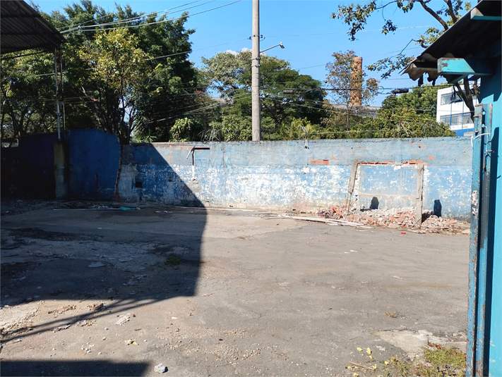 Foto REO1101936