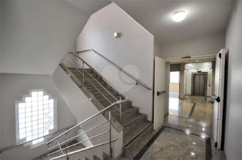 Foto REO1101943