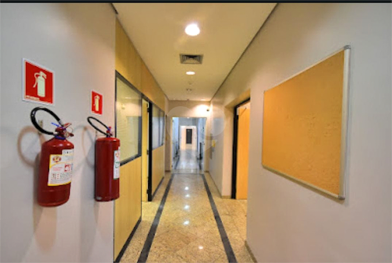 Foto REO1101943