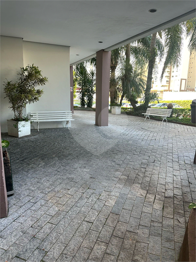 Foto REO1101946