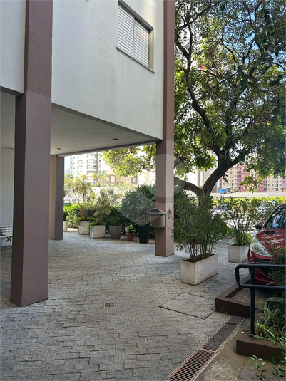 Foto REO1101946