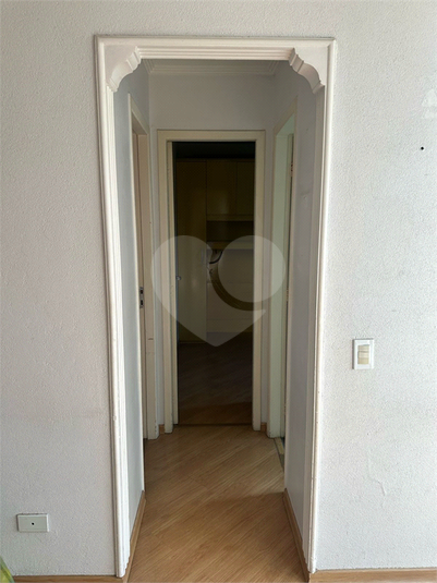 Foto REO1101946