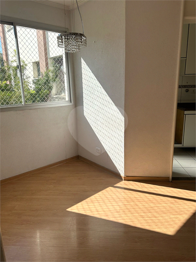 Foto REO1101946