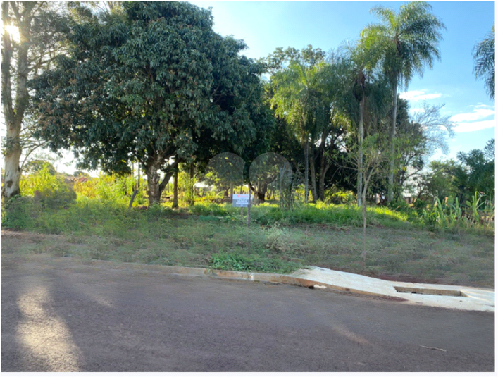 Foto REO1101947