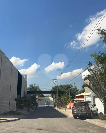 Foto REO1101988