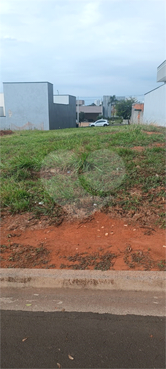 Foto REO1102007