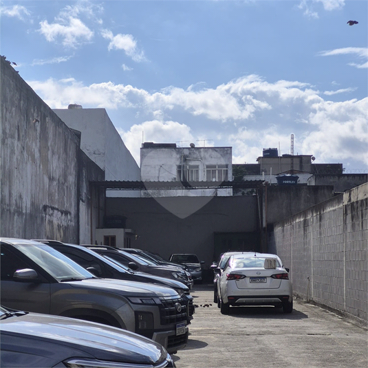 Foto REO1102083