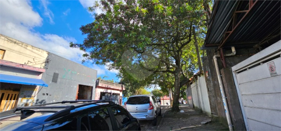 Foto REO1102230