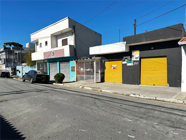 Foto REO1102292