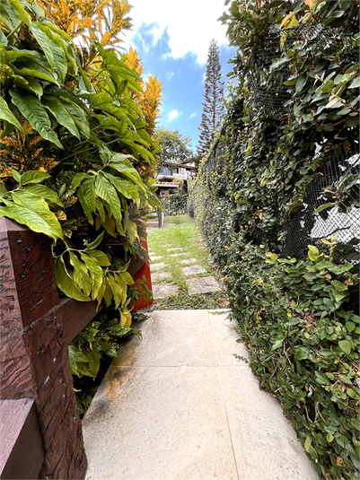 Foto REO1102309