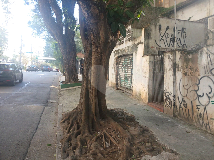 Foto REO1102378