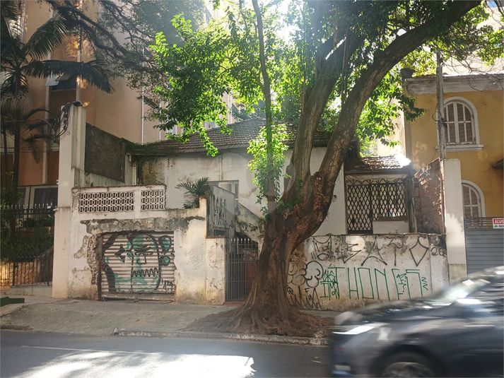 Foto REO1102378