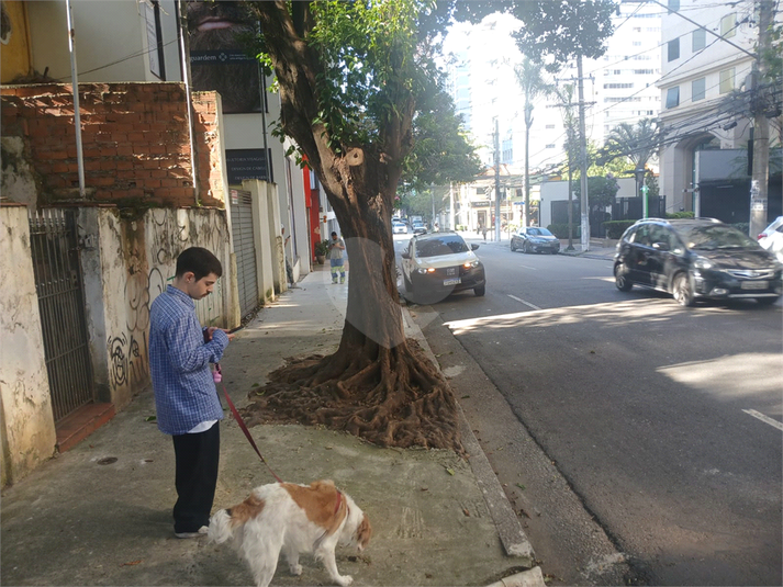 Foto REO1102378