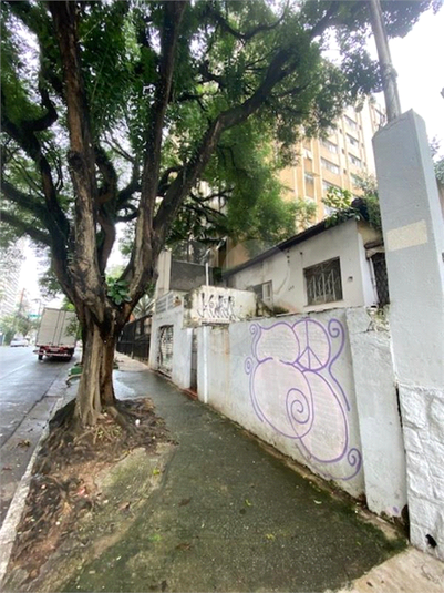 Foto REO1102378