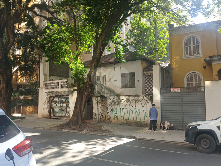 Foto REO1102378