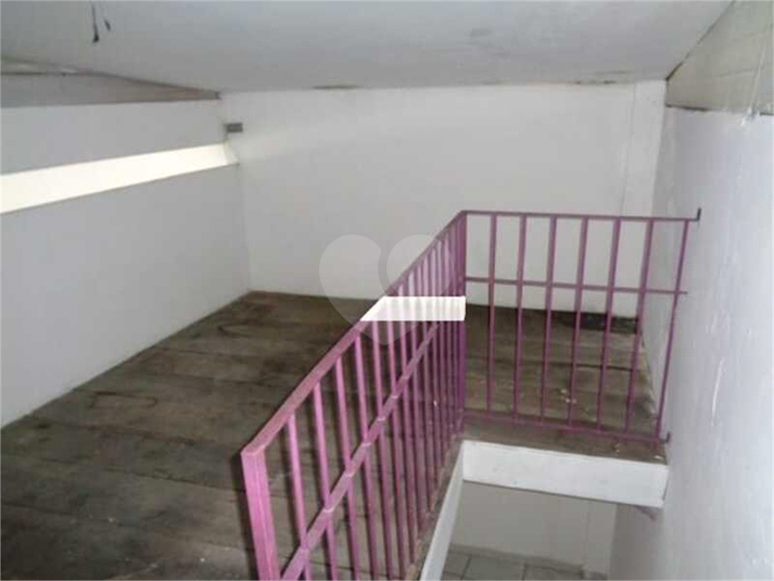 Foto REO1102412