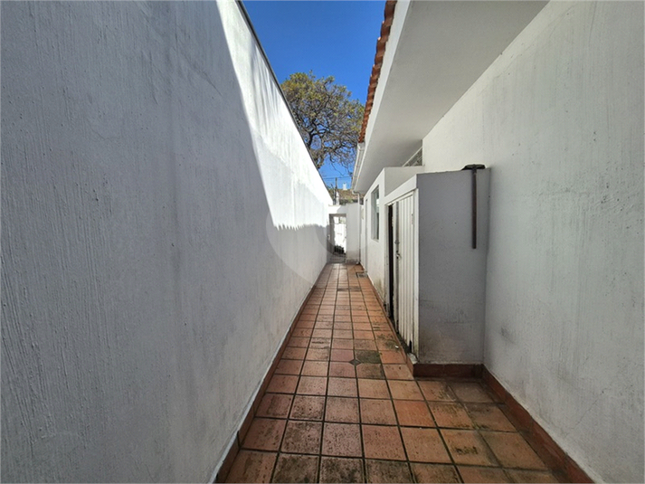 Foto REO1102425