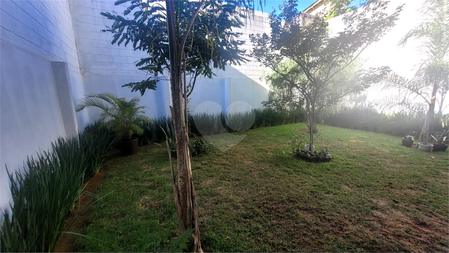 Foto REO1102435