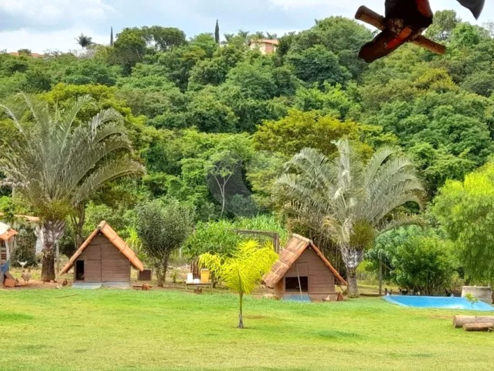 Foto REO1102444
