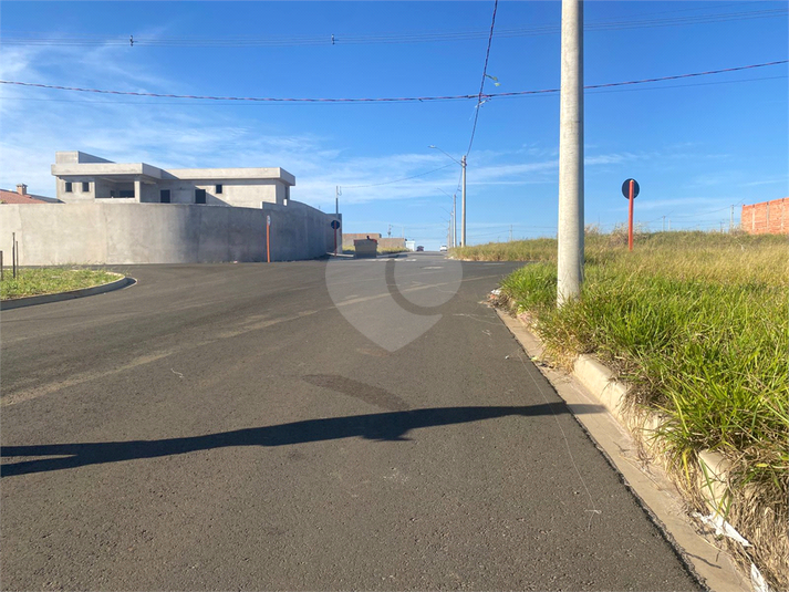 Foto REO1102457
