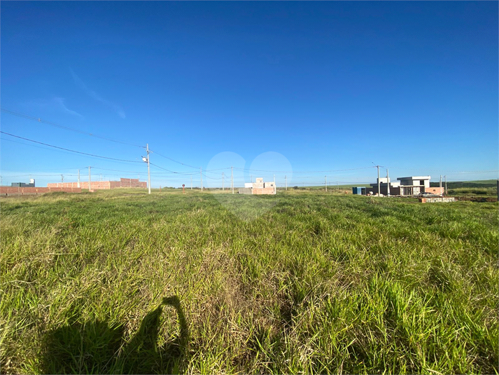 Foto REO1102457