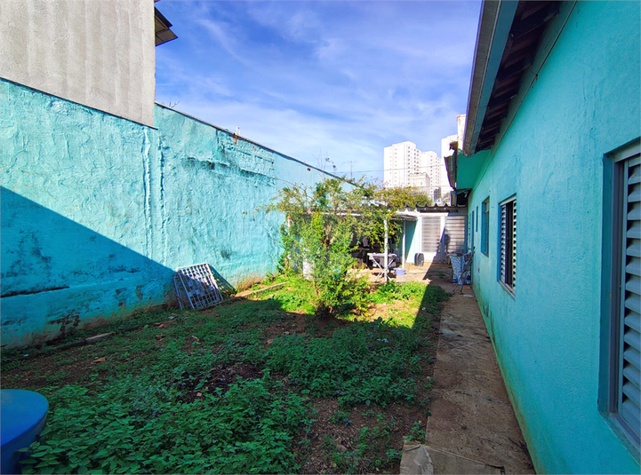 Foto REO1102461