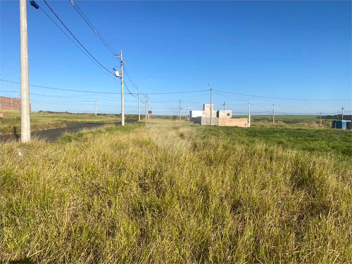 Foto REO1102475