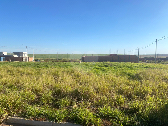 Foto REO1102475