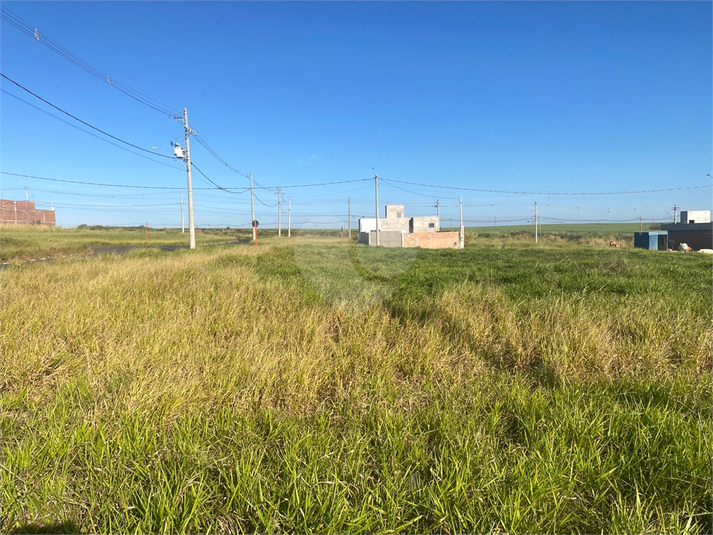 Foto REO1102475