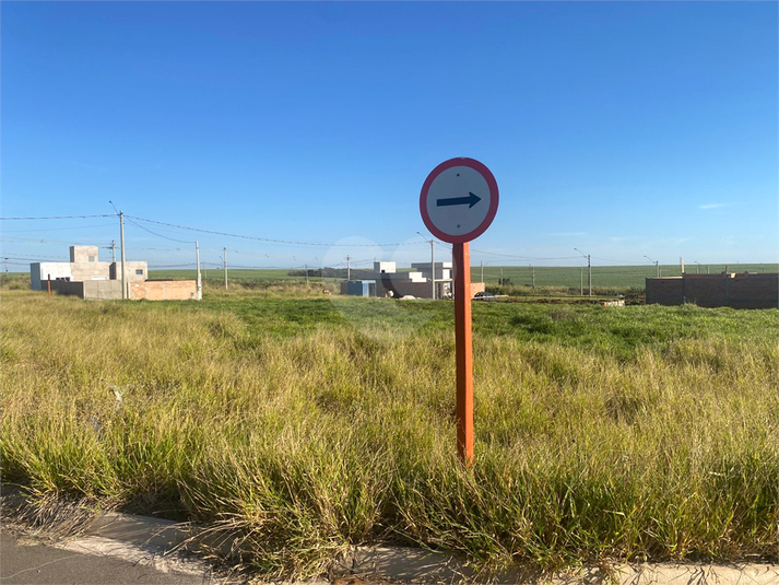 Foto REO1102475
