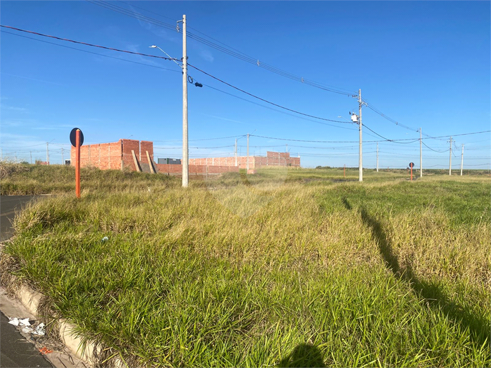 Foto REO1102475