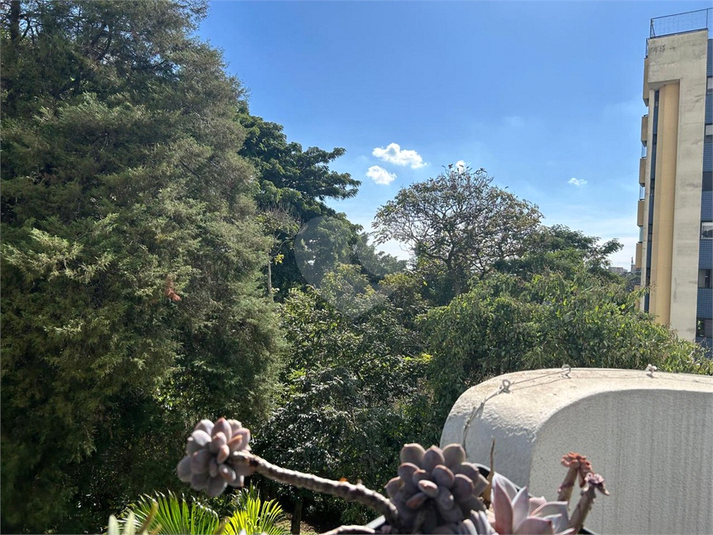 Foto REO1102491