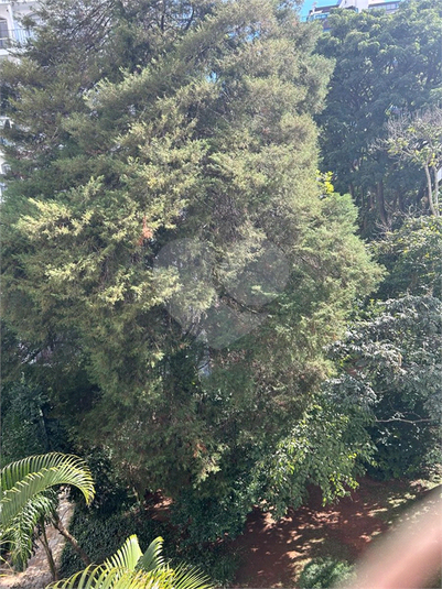 Foto REO1102491