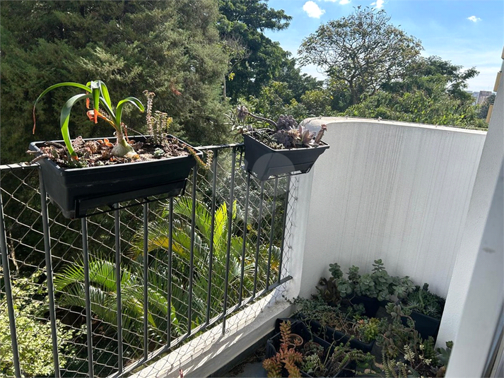 Foto REO1102491