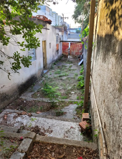 Foto REO1102510