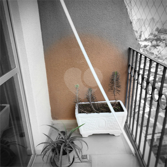 Foto REO1102523