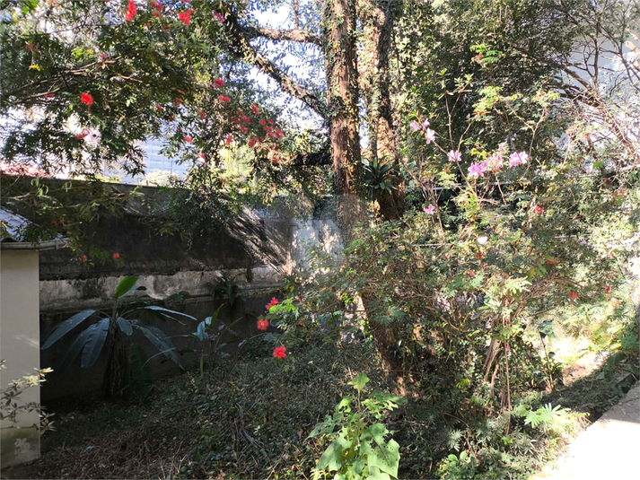 Foto REO1102527