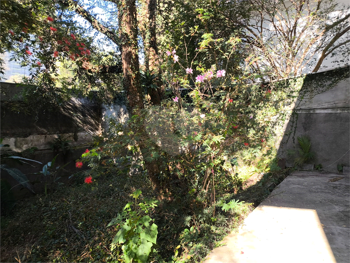 Foto REO1102527