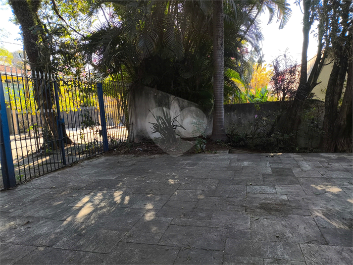 Foto REO1102527