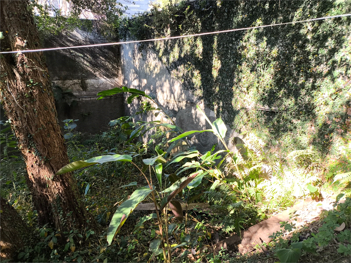Foto REO1102527