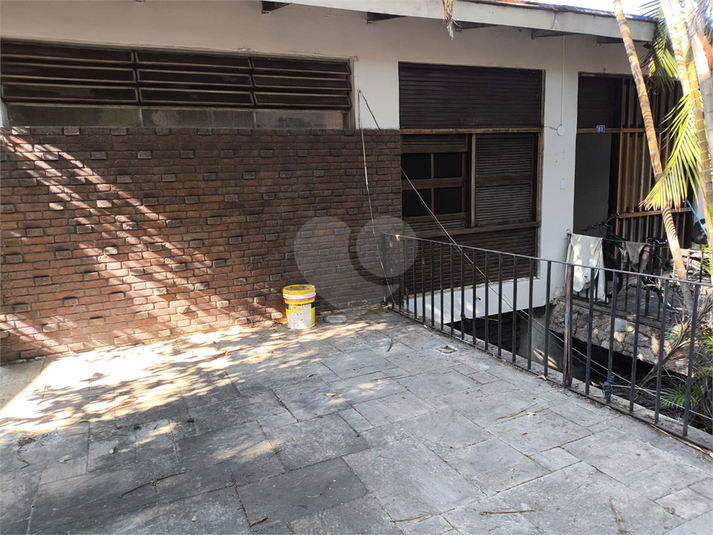 Foto REO1102527