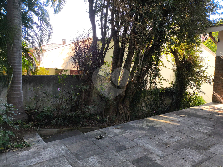 Foto REO1102527