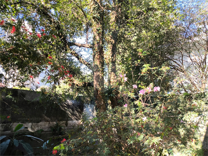 Foto REO1102527