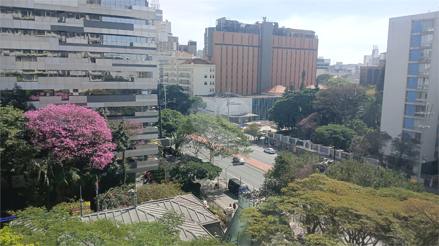 Foto REO1102533