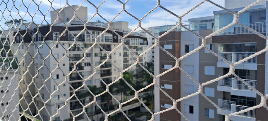 Foto REO1102535