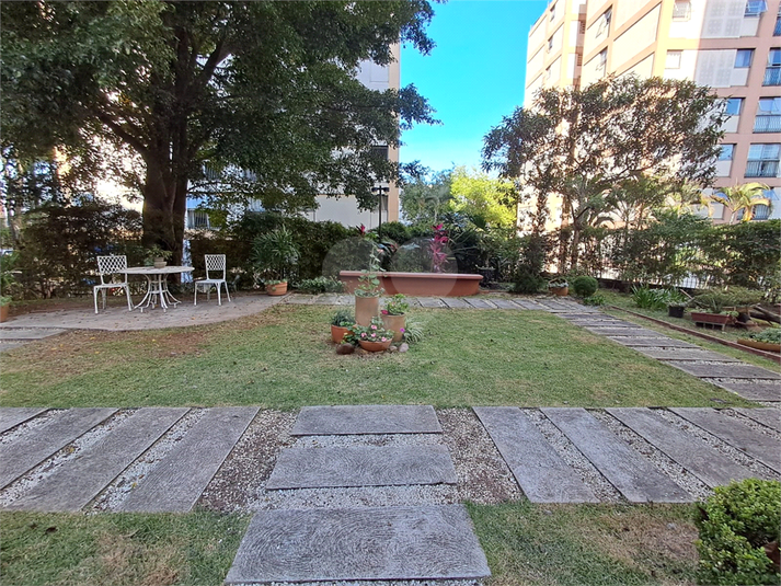 Foto REO1102536